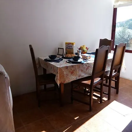 Casa Para Amigos No Centro Do
